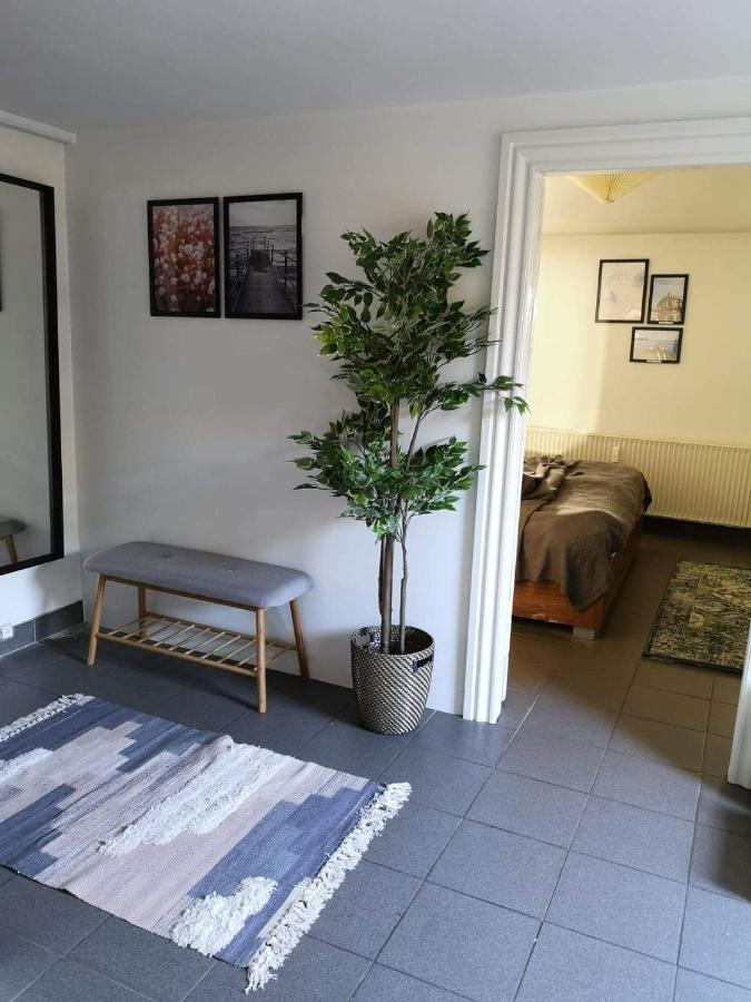 Spacious Cellar Apartment 흐비도브레 외부 사진