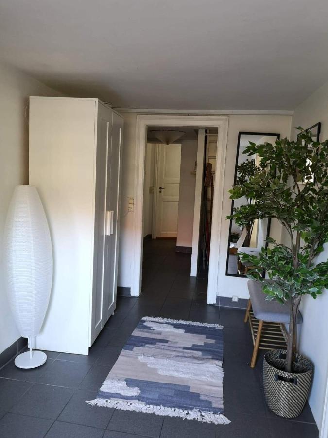 Spacious Cellar Apartment 흐비도브레 외부 사진