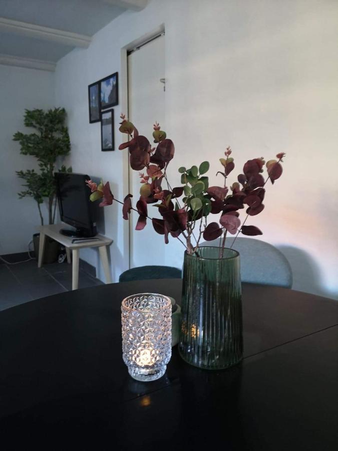 Spacious Cellar Apartment 흐비도브레 외부 사진