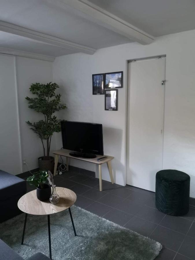 Spacious Cellar Apartment 흐비도브레 외부 사진