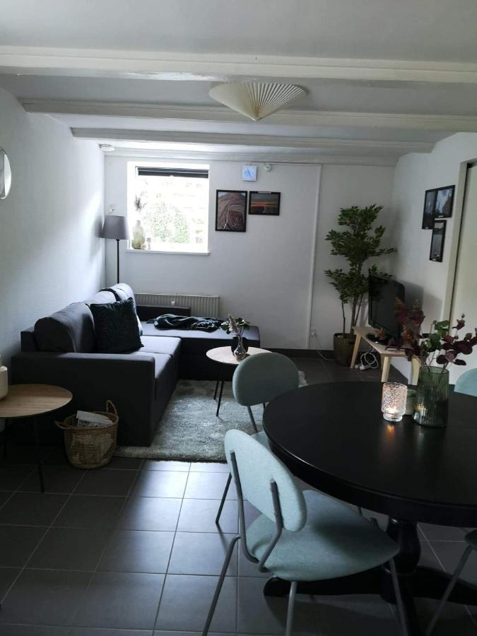 Spacious Cellar Apartment 흐비도브레 외부 사진
